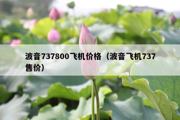 波音737800飞机价格（波音飞机737售价） 第1张