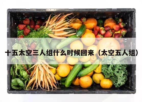 十五太空三人组什么时候回来（太空五人组） 第1张