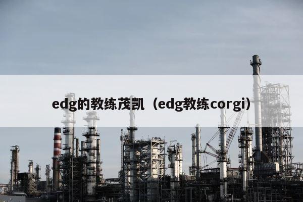 edg的教练茂凯（edg教练corgi） 第1张