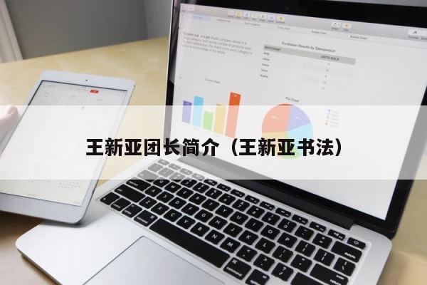 王新亚团长简介（王新亚书法） 第1张