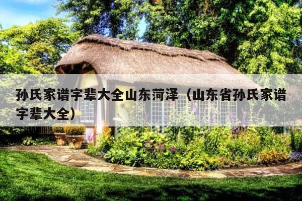 孙氏家谱字辈大全山东菏泽（山东省孙氏家谱字辈大全） 第1张