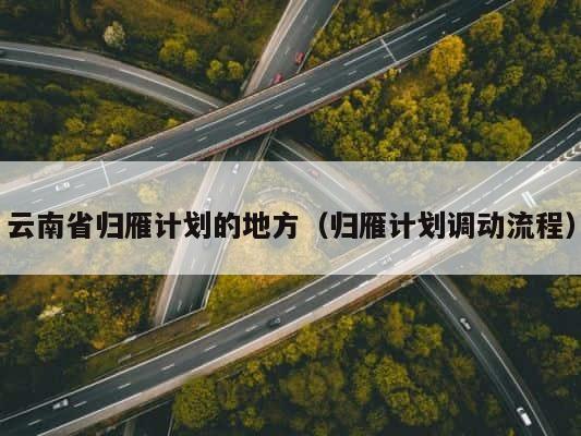 云南省归雁计划的地方（归雁计划调动流程） 第1张