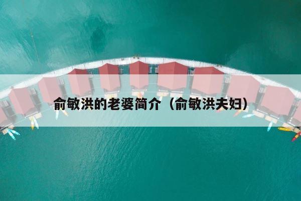 俞敏洪的老婆简介（俞敏洪夫妇） 第1张
