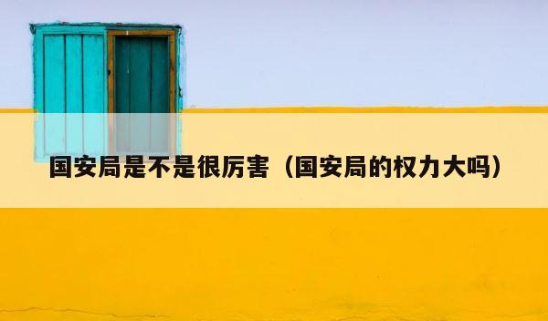 国安局是不是很厉害（国安局的权力大吗） 第1张