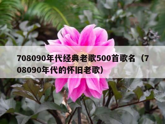 708090年代经典老歌500首歌名（708090年代的怀旧老歌） 第1张