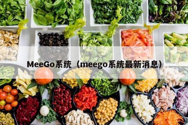 MeeGo系统（meego系统最新消息） 第1张