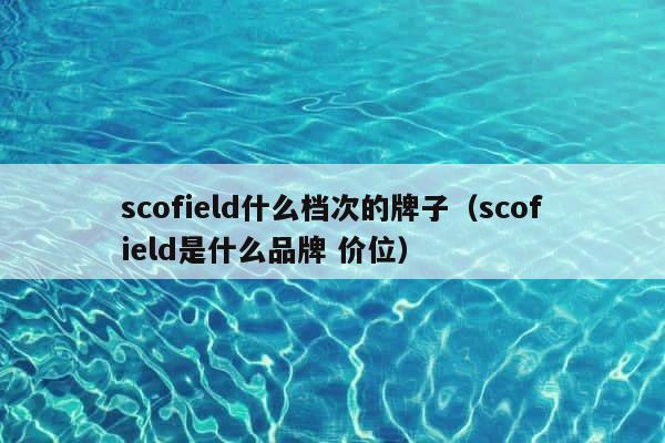 scofield什么档次的牌子（scofield是什么品牌 价位） 第1张