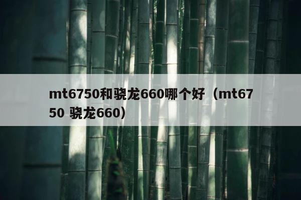 mt6750和骁龙660哪个好（mt6750 骁龙660） 第1张