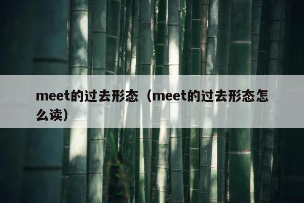 meet的过去形态（meet的过去形态怎么读） 第1张