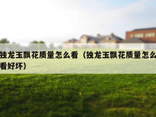 独龙玉飘花质量怎么看（独龙玉飘花质量怎么看好坏） 第1张