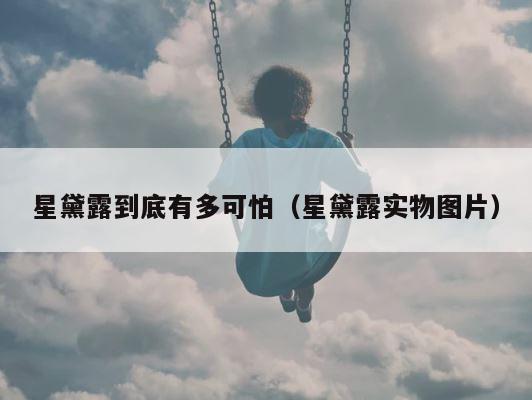 星黛露到底有多可怕（星黛露实物图片） 第1张