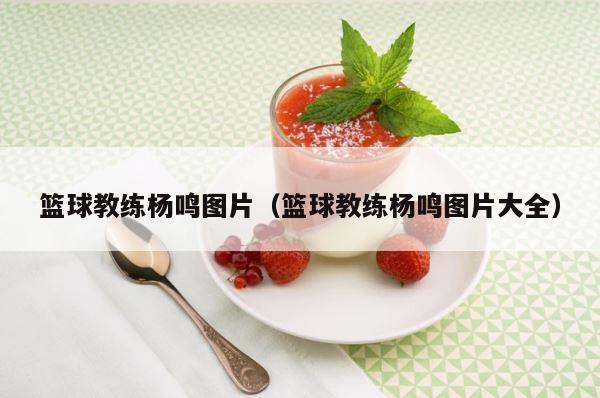 篮球教练杨鸣图片（篮球教练杨鸣图片大全） 第1张