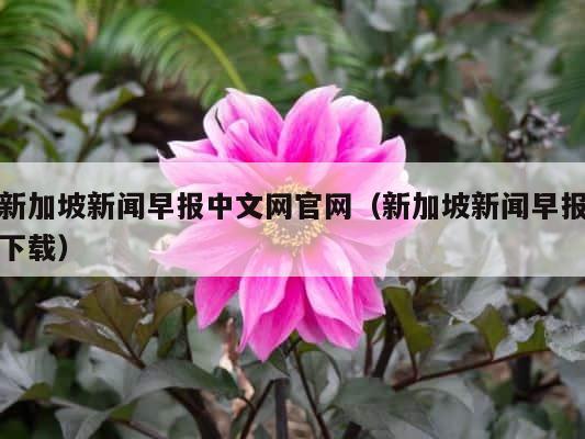 新加坡新闻早报中文网官网（新加坡新闻早报下载） 第1张
