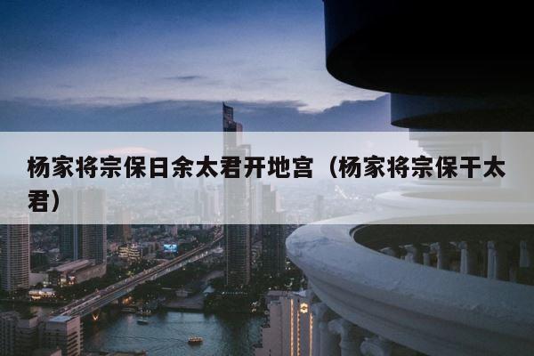 杨家将宗保日余太君开地宫（杨家将宗保干太君） 第1张