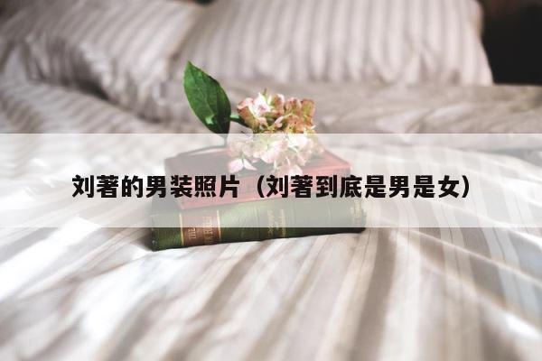 刘著的男装照片（刘著到底是男是女） 第1张