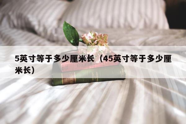 5英寸等于多少厘米长（45英寸等于多少厘米长） 第1张