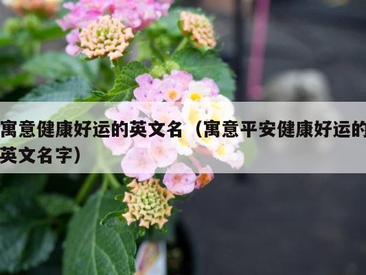 寓意健康好运的英文名（寓意平安健康好运的英文名字） 第1张