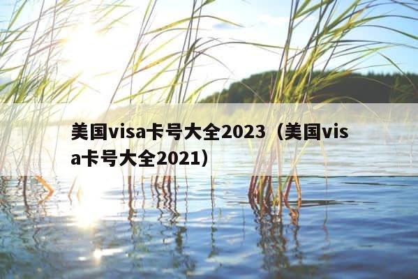 美国visa卡号大全2023（美国visa卡号大全2021） 第1张