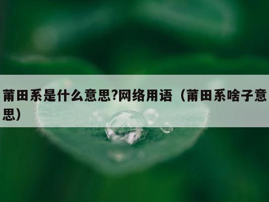 莆田系是什么意思?网络用语（莆田系啥子意思） 第1张