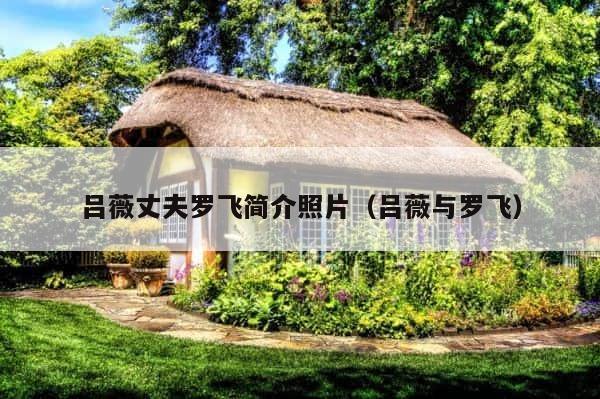 吕薇丈夫罗飞简介照片（吕薇与罗飞） 第1张