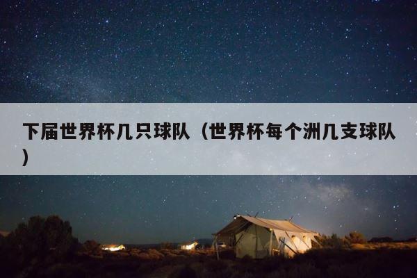 下届世界杯几只球队（世界杯每个洲几支球队） 第1张