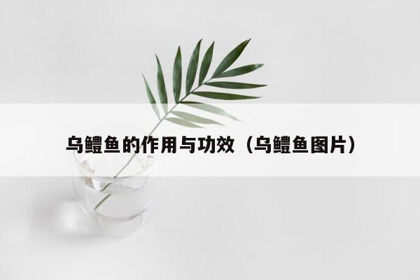 乌鳢鱼的作用与功效（乌鳢鱼图片） 第1张