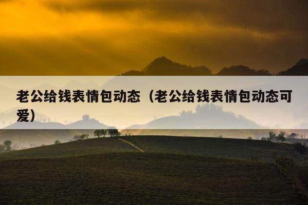 老公给钱表情包动态（老公给钱表情包动态可爱） 第1张