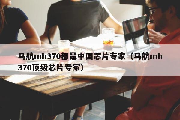 马航mh370都是中国芯片专家（马航mh370顶级芯片专家） 第1张