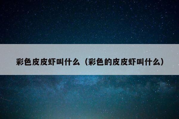彩色皮皮虾叫什么（彩色的皮皮虾叫什么） 第1张