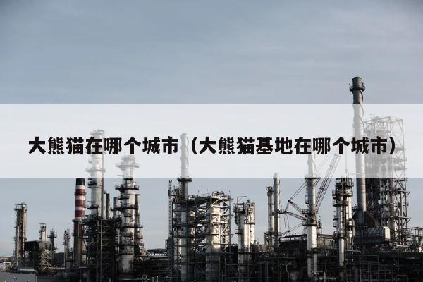 大熊猫在哪个城市（大熊猫基地在哪个城市） 第1张