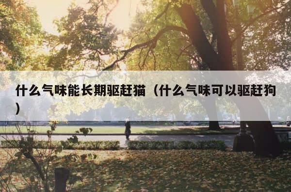 什么气味能长期驱赶猫（什么气味可以驱赶狗） 第1张