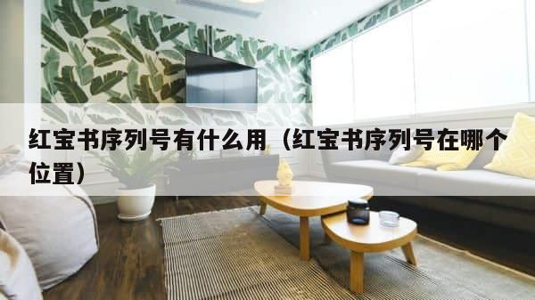 红宝书序列号有什么用（红宝书序列号在哪个位置） 第1张