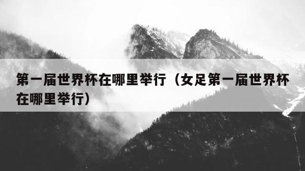 第一届世界杯在哪里举行（女足第一届世界杯在哪里举行） 第1张