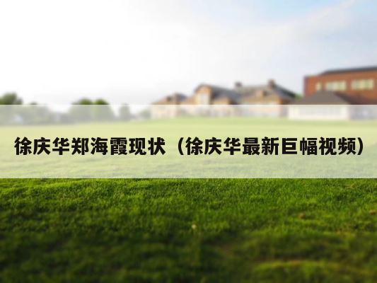 徐庆华郑海霞现状（徐庆华最新巨幅视频） 第1张