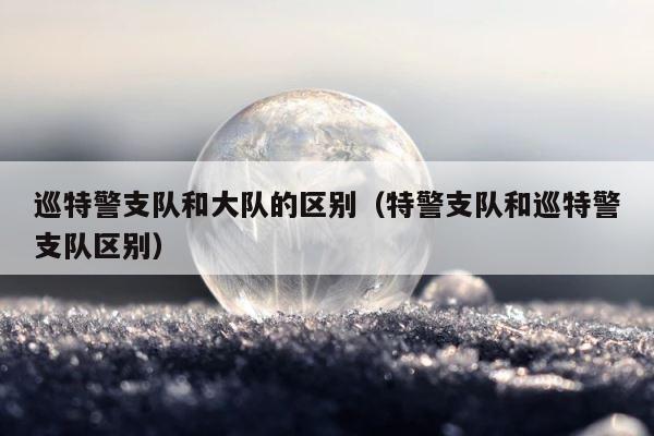 巡特警支队和大队的区别（特警支队和巡特警支队区别） 第1张