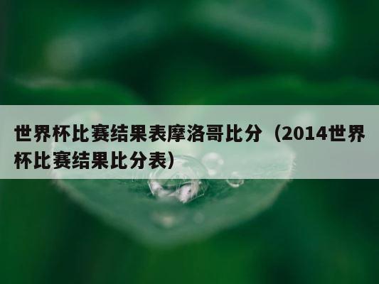 世界杯比赛结果表摩洛哥比分（2014世界杯比赛结果比分表） 第1张