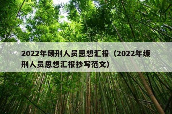 2022年缓刑人员思想汇报（2022年缓刑人员思想汇报抄写范文） 第1张
