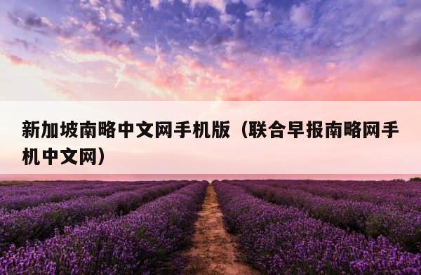 新加坡南略中文网手机版（联合早报南略网手机中文网） 第1张
