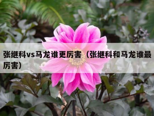 张继科vs马龙谁更厉害（张继科和马龙谁最厉害） 第1张