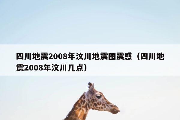 四川地震2008年汶川地震图震感（四川地震2008年汶川几点） 第1张