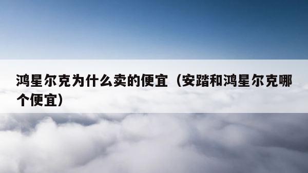 鸿星尔克为什么卖的便宜（安踏和鸿星尔克哪个便宜） 第1张