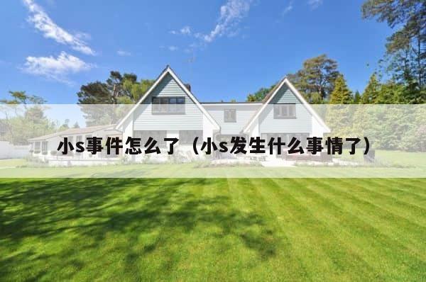 小s事件怎么了（小s发生什么事情了） 第1张