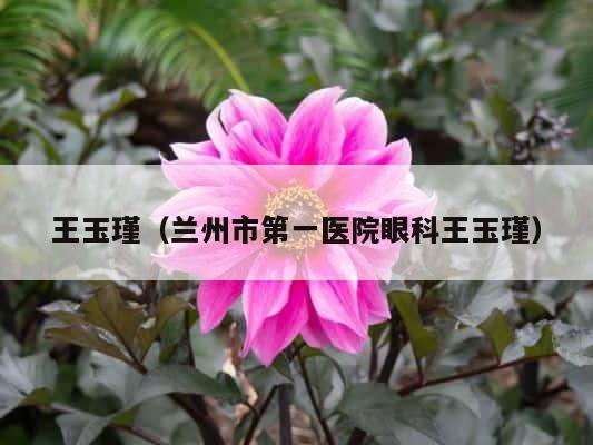 王玉瑾（兰州市第一医院眼科王玉瑾） 第1张