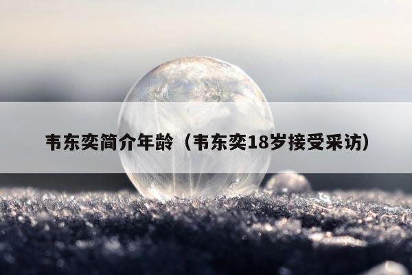 韦东奕简介年龄（韦东奕18岁接受采访） 第1张