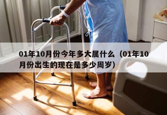 01年10月份今年多大属什么（01年10月份出生的现在是多少周岁） 第1张
