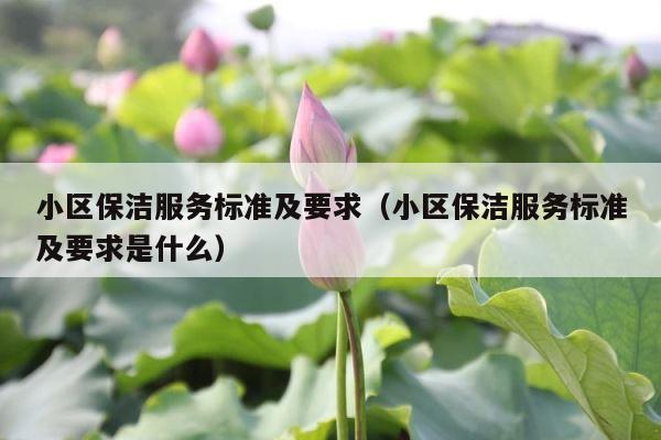 小区保洁服务标准及要求（小区保洁服务标准及要求是什么） 第1张