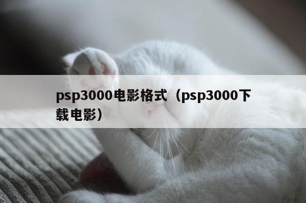 psp3000电影格式（psp3000下载电影） 第1张