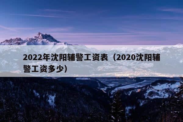 2022年沈阳辅警工资表（2020沈阳辅警工资多少） 第1张