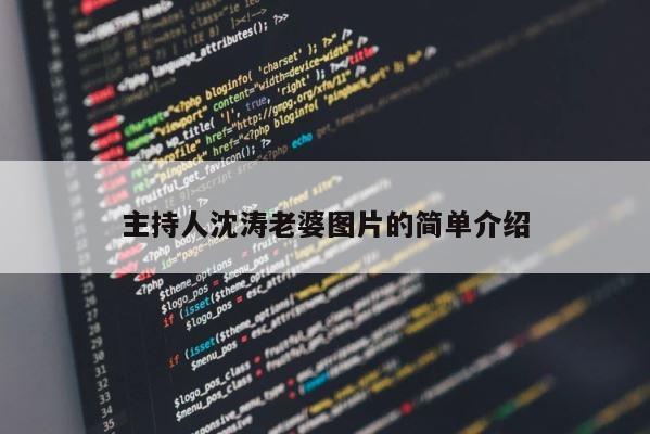 主持人沈涛老婆图片的简单介绍 第1张