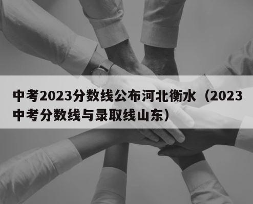 中考2023分数线公布河北衡水（2023中考分数线与录取线山东） 第1张